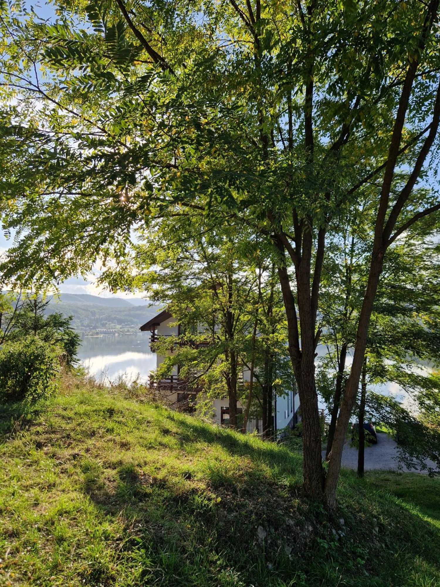 Pensiunea Belvedere Cincis Exterior foto